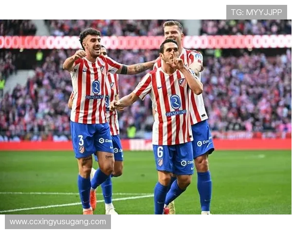 马德里竞技vs瓦伦西亚全场数据：射门数14-5，射正数4-1